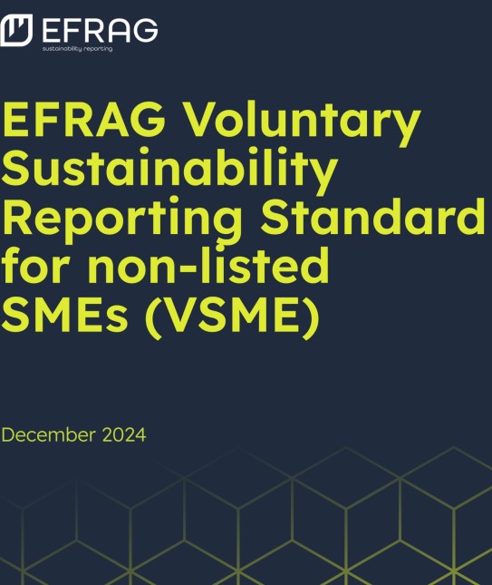 Captura de pantalla 2024-12-18 163056